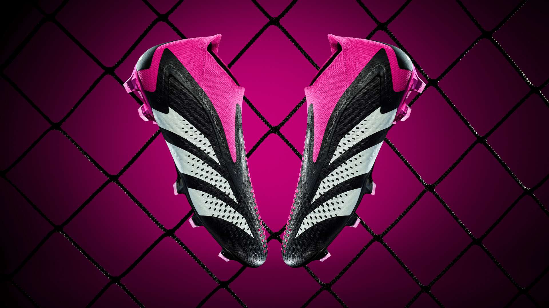 总的来说 总的来说